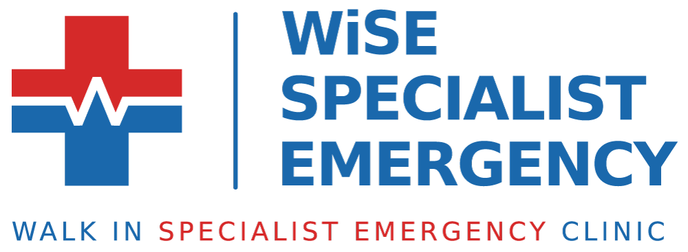 WISE specialist emergency service